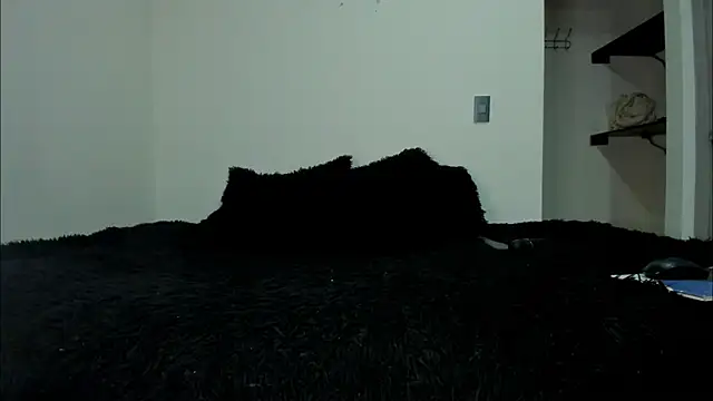 Nina Fuentes online show from 13, 2, 2025