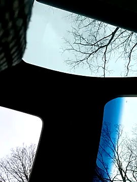 Alfrendino44 online show from 19, 2, 2026