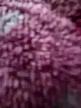 katymojadit online show from 16, 2, 2026