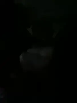 kidnovo online show from 21, 2, 2026