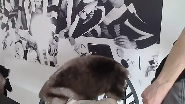 godinflower online show from 21, 2, 2026