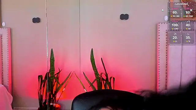 StefyGil  online show from 4, 3, 2026