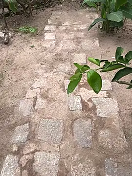 king cum  online show from 18, 2, 2026