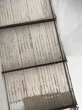 king cum  online show from 19, 2, 2026