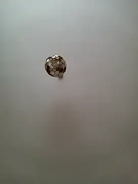 Snapshot of JulianJ50 chatting on 12, 11, 2025 JulianJ50 online show from 12, 11, 2025