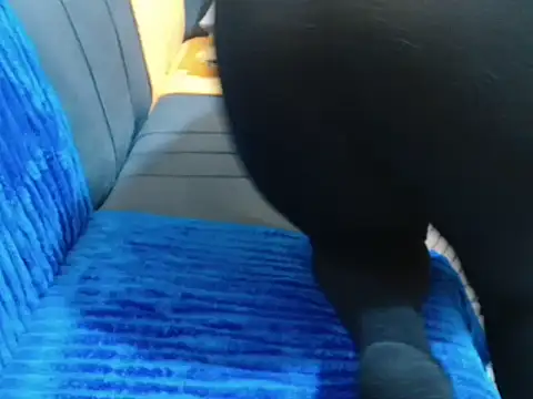 leslysexygirl online show from 16, 2, 2026