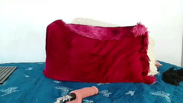 Pandora gu online show from 14, 11, 2025