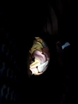 Policeman20742 online show from 25, 2, 2025