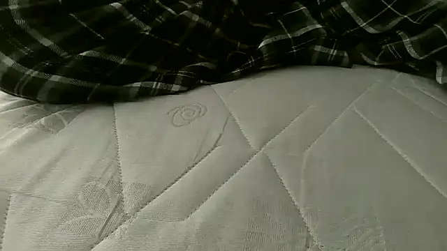 Cutie Shy  online show from 17, 7, 2026