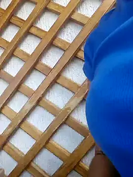 lily sk online show from 11, 2, 2025