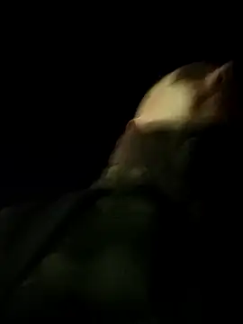 Schabernack1990 online show from 7, 3, 2026