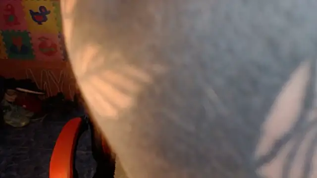 dannafitness online show from 6, 3, 2026