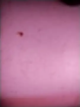 bisexualboy05 online show from 20, 9, 2025