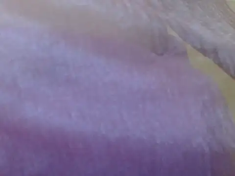 LOVERIAKOL online show from 3, 3, 2026