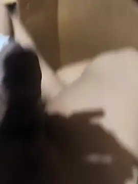 BustedKeeping online show from 16, 4, 2026