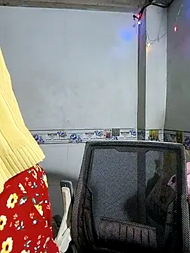 Snapshot of phnz chatting on 9, 11, 2025 phnz online show from 9, 11, 2025