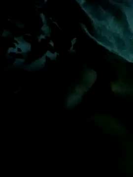 scopafiga14620 online show from 8, 4, 2026