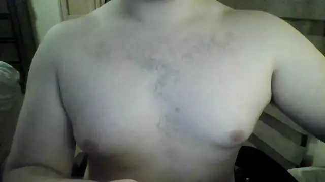 Himbo fox online show from 15, 11, 2025