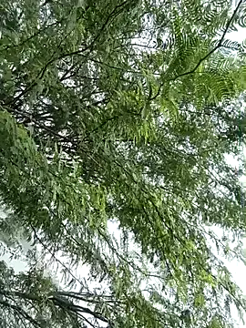 gaysexfun 123 online show from 20, 12, 2025