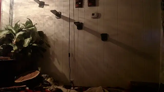 UnCuTupTheBuTT online show from 16, 11, 2025