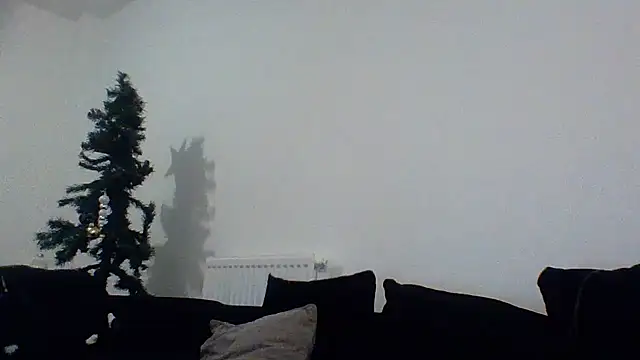 Cinderella Jewels  online show from 22, 12, 2025