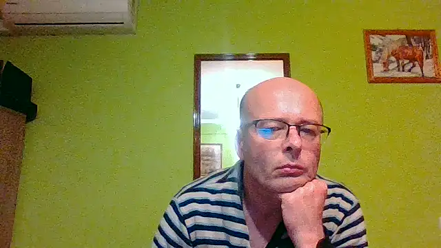 Tiger202441 online show from 11, 6, 2026