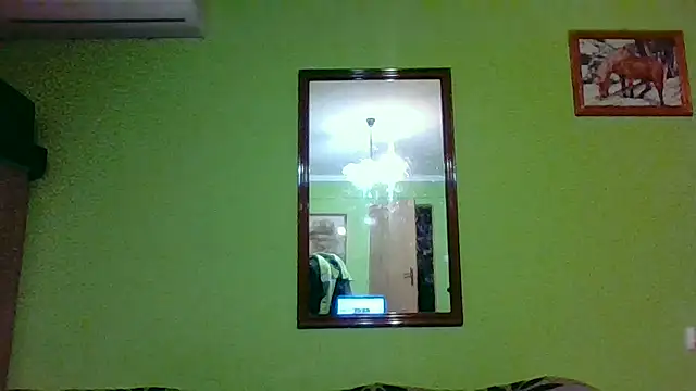 Tiger202441 online show from 1, 4, 2026