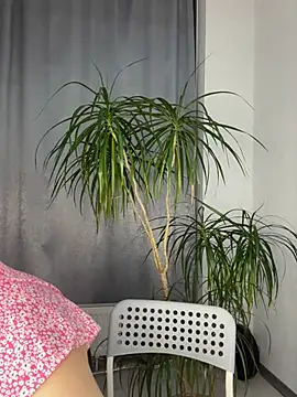 Polli Kiss online show from 12, 3, 2025