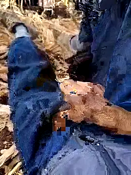 Snapshot of murokkk31 chatting on 4, 12, 2025 murokkk31 online show from 4, 12, 2025