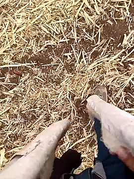 Snapshot of murokkk31 chatting on 21, 10, 2025 murokkk31 online show from 21, 10, 2025