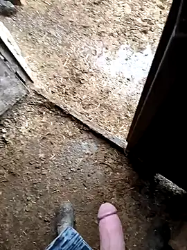 Snapshot of murokkk31 chatting on 9, 1, 2026 murokkk31 online show from 9, 1, 2026