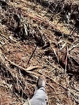 Snapshot of murokkk31 chatting on 14, 12, 2025 murokkk31 online show from 14, 12, 2025