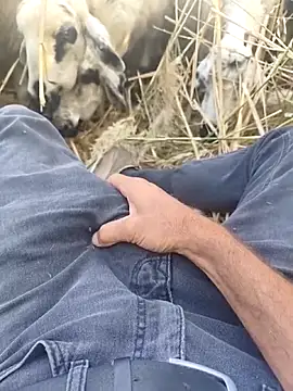 Snapshot of murokkk31 chatting on 29, 10, 2025 murokkk31 online show from 29, 10, 2025