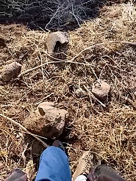 Snapshot of murokkk31 chatting on 3, 12, 2025 murokkk31 online show from 3, 12, 2025