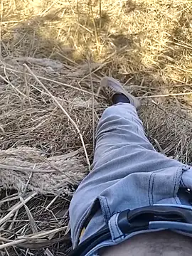 Snapshot of murokkk31 chatting on 27, 10, 2025 murokkk31 online show from 27, 10, 2025