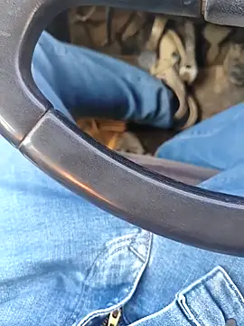 Snapshot of murokkk31 chatting on 8, 1, 2026 murokkk31 online show from 8, 1, 2026