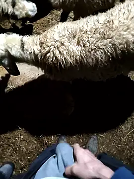 Snapshot of murokkk31 chatting on 9, 1, 2026 murokkk31 online show from 9, 1, 2026