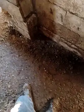 Snapshot of murokkk31 chatting on 14, 1, 2026 murokkk31 online show from 14, 1, 2026