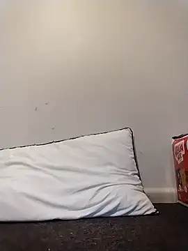 Steff8u online show from 19, 2, 2026