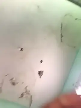 diegocc271 online show from 21, 4, 2026