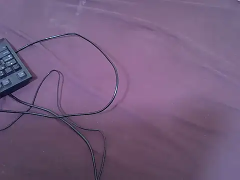 tasty piee online show from 13, 2, 2026