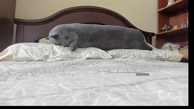 Snapshot of linnie_ chatting on 2, 2, 2026 linnie online show from 2, 2, 2026