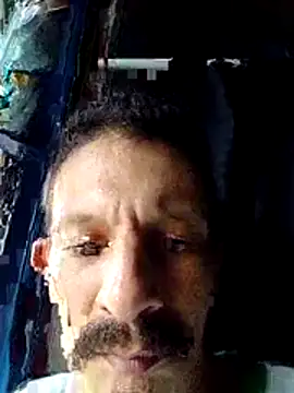 trebollhht online show from 13, 12, 2025