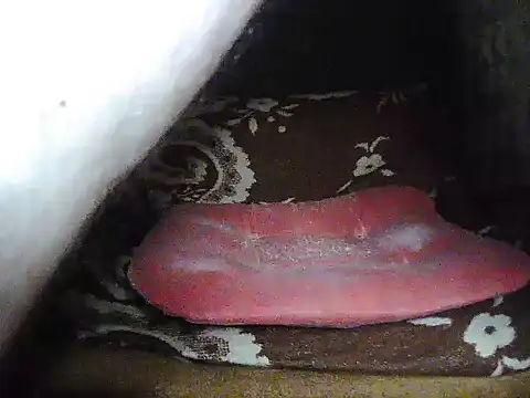 jerkingcroatia2 online show from 25, 3, 2026