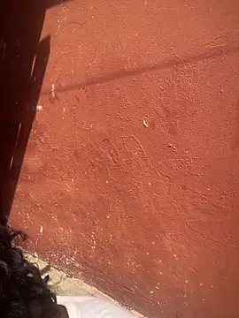 Moorella1 online show from 10, 2, 2026