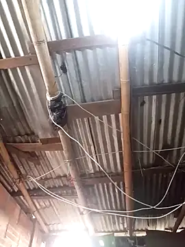 Alanagracia online show from 15, 11, 2025