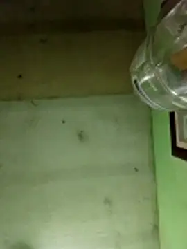 Alonsomadeira online show from 17, 12, 2025