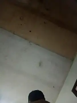 Alonsomadeira online show from 10, 4, 2026