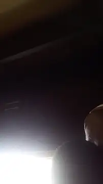 wlammi ptr online show from 19, 12, 2025