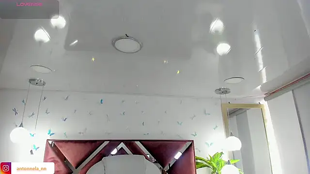  Antonnela  online show from 8, 2, 2026